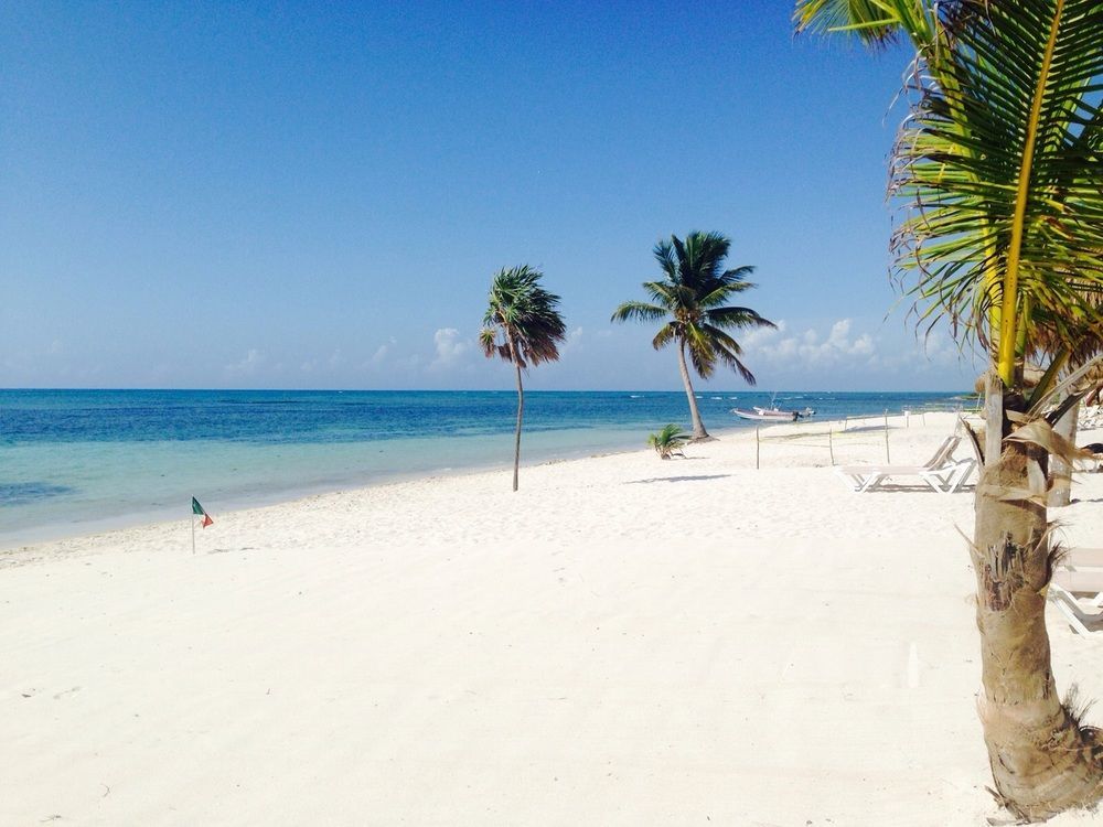 Pavoreal Beach Resort Tulum Kültér fotó