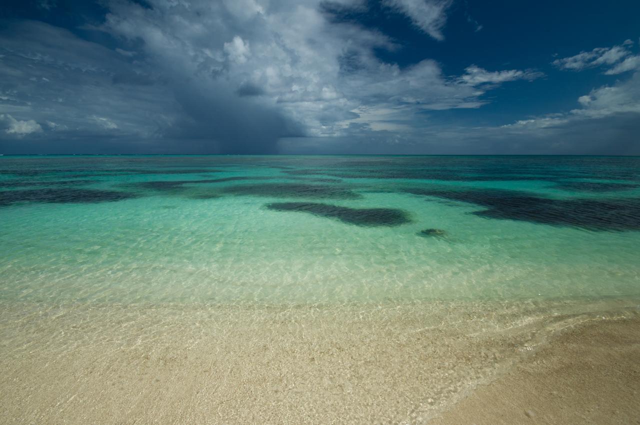 Pavoreal Beach Resort Tulum Kültér fotó